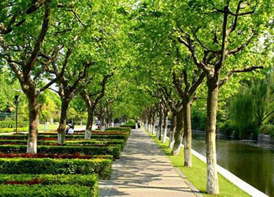2025年南通初三畢業(yè)能讀的民辦中職中專學(xué)校(排名+名單)