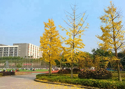 2025新疆排名前三的公辦衛(wèi)生學校名單