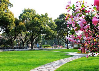 2025焦作排名前三的公辦美術(shù)學(xué)校名單