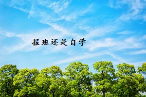 報班還是自學(xué)