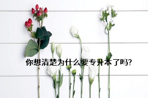 你想清楚為什么要專升本了嗎？