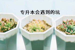 專升本會遇到的坑