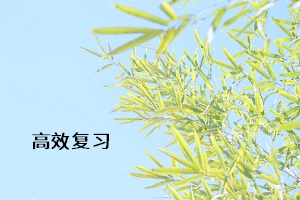 高效復習