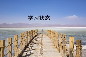 學(xué)習(xí)狀態(tài)