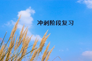 沖刺階段復(fù)習(xí)