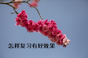 怎樣復(fù)習(xí)有好效果
