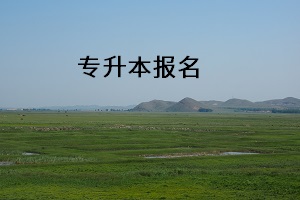 專升本報(bào)名