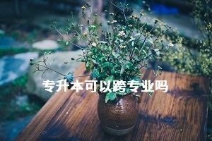 湖北省專升本報考時可以跨專業(yè)嗎？有什么報考限制嗎？