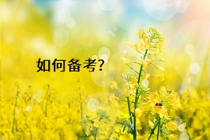 如何備考？
