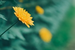 精做真題，查缺補(bǔ)漏