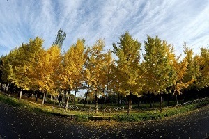 大專第三年才開始準(zhǔn)備普通專升本考試來得及嗎？該如何備考？