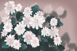 能否報(bào)考？