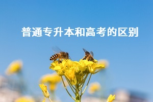 普通專升本和高考之間有什么差別？哪個更難考？