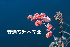 荊楚理工學(xué)院專升本的專業(yè)有哪些？專業(yè)考試難不難？