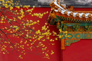 全日制普通專升本和本科有區(qū)別嗎？哪些地方是不同的？