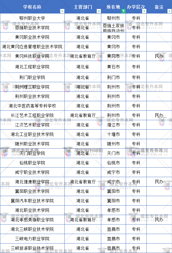 武漢市外的?？茖W(xué)校
