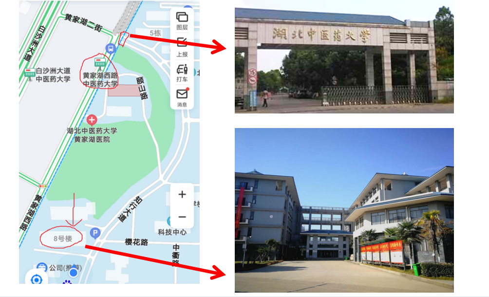 湖北中醫(yī)藥大學(xué)專升本從校門怎么走到8號樓？考場怎么找？