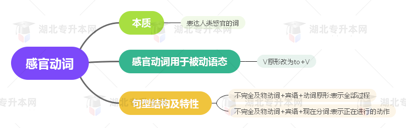 普通專(zhuān)升本英語(yǔ)要掌握多少種語(yǔ)法？25張思維導(dǎo)圖教會(huì)你！