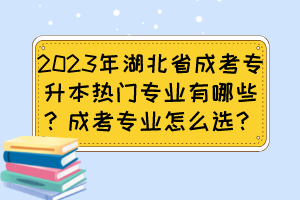 2023年湖北省成考專升本熱門專業(yè)有哪些？成考專業(yè)怎么選？